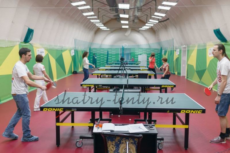 Стол для настольного тенниса своими руками | TTBlog клуба Пинг-Понг